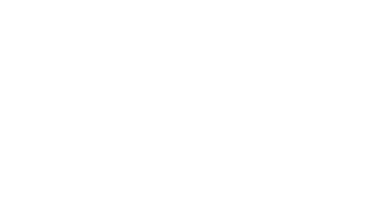 BiLu Reinigungs GmbH