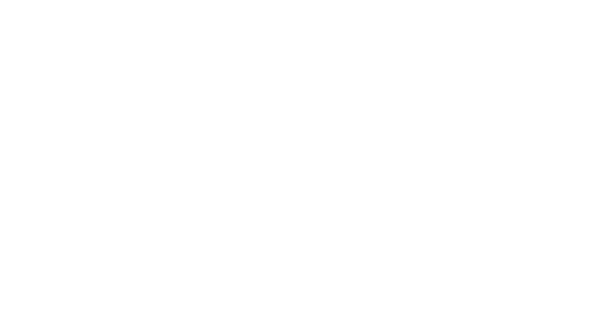 LEVA Maler, Gipser, Plattenleger